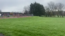 Gato no parque