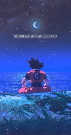 En memoria akiratori