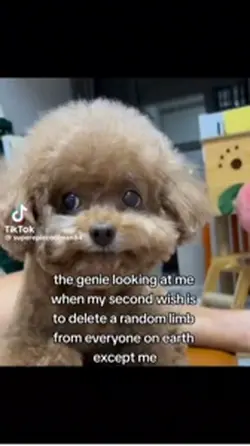 Side eye 