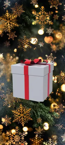 Christmas present 