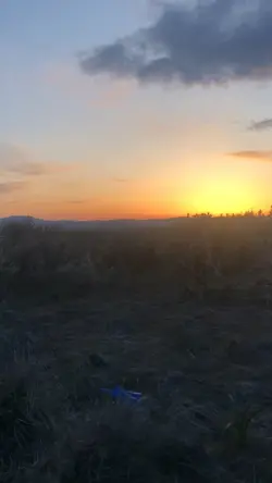 Slow motion 1 video