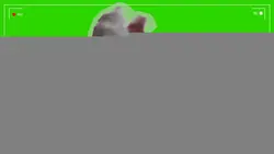 Remover o fundo verd