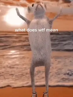 what does wtf mean