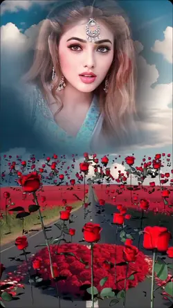 Rose flower 🌹 