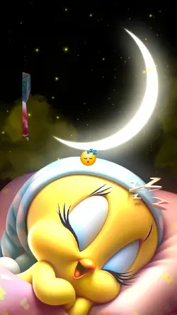 Good night
