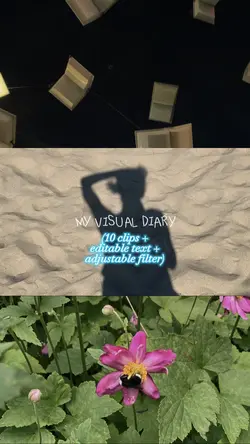 my visual diary