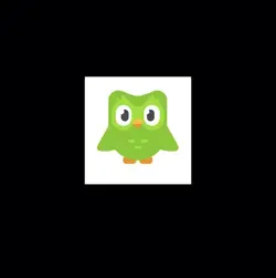 Duolingo 
