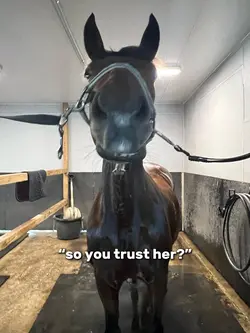 so you trust her?