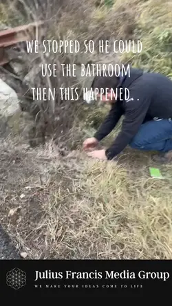 Doggie Rescue