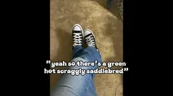why does everyone-