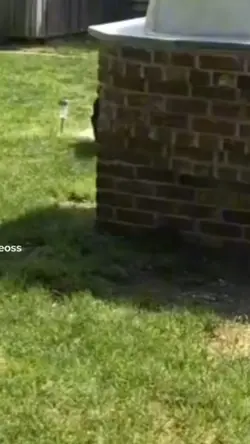 1 man 2man 3man down