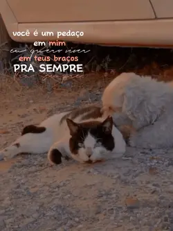 pra sempre 