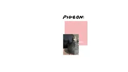 FLIPPING PIGEON!!