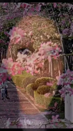 Ost hidden love