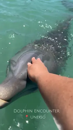 Animal Encounters 