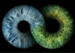 blue nd green eye