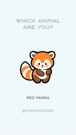 Red panda