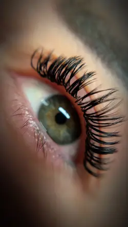 LASHES