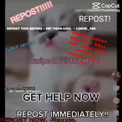 REPOST THIS PLS!!!