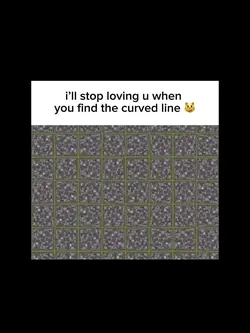 illusion 😼