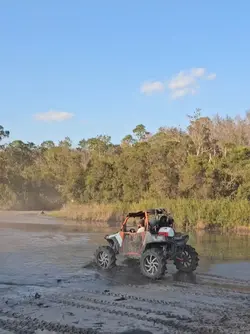 buggylife
