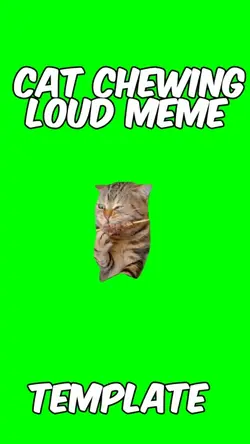 Cat chewing loud 