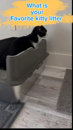 Cat litter compariso