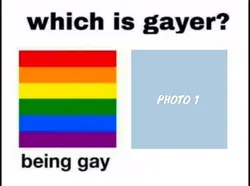 Which is gayer?