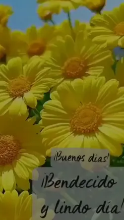 🌸💐🌸🌸
