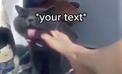 Cat gagging 