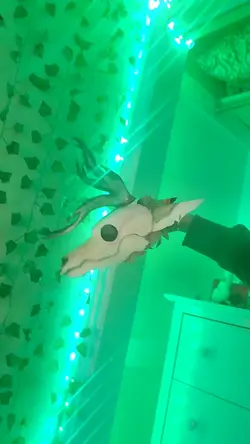 Dragon puppet 