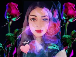 cute roses