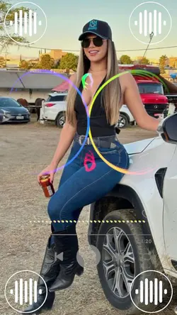 Modelo novo 