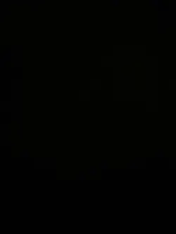  use a live photo!