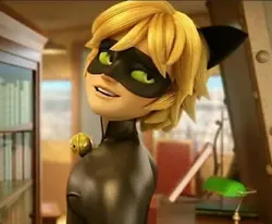 Gato noir