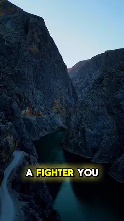 You’re a fighter 
