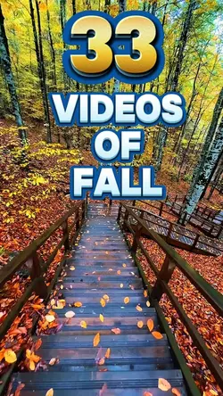 Fall videos template