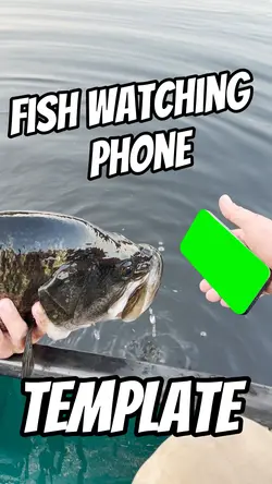 Fish Watch 