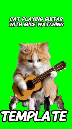 Cat playing guitar m