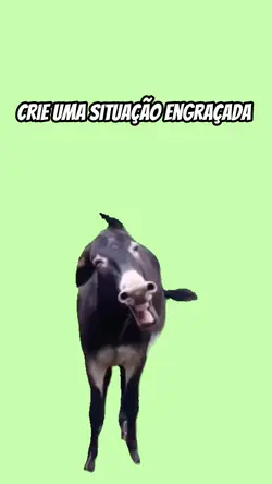 Meme do burro 