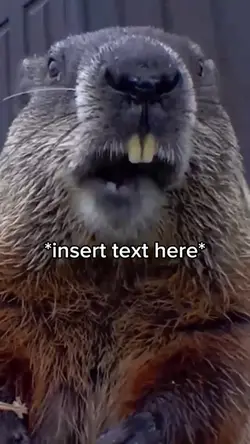 Beaver Burping 