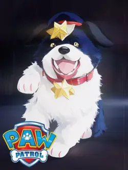 PAW PATROL