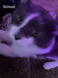 Umm