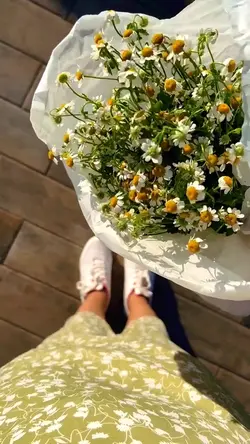 Mini Vlog