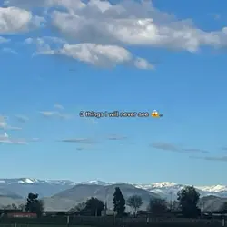 …