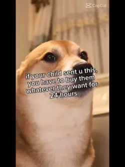;)))