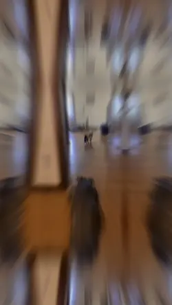 Crazy Cat