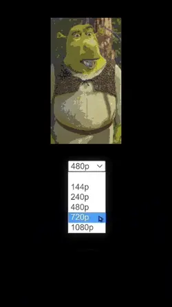 Pixelated template