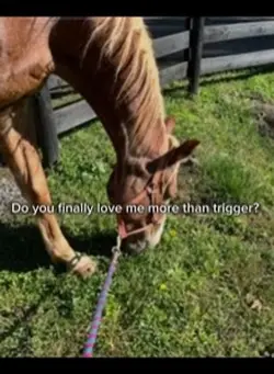 Trigger>>>