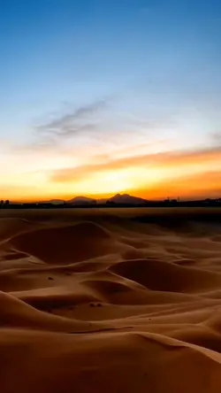 Love in the desert ❤️